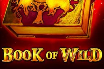 Book of Wild