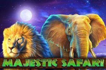 Majestic Safari